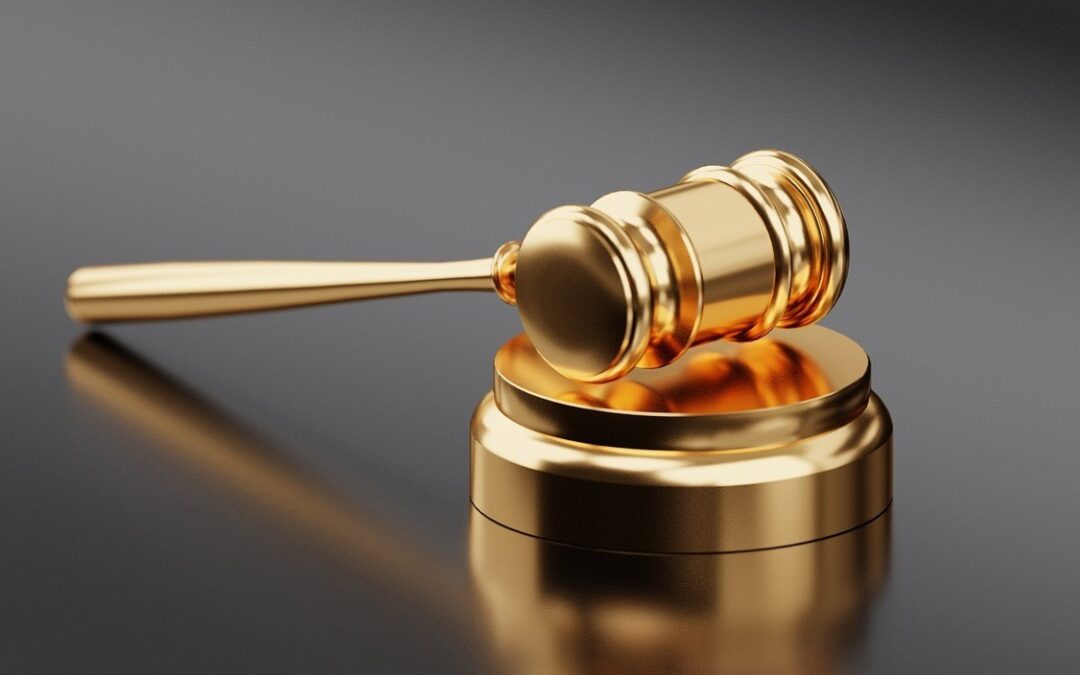 From Initial Case Concept: How Early-Stage Funding Shapes Litigation Outcomes