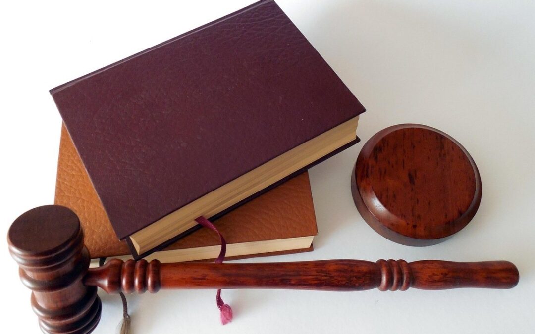 Funding the Foundation: The Critical Role of Early Support for Legal Progress