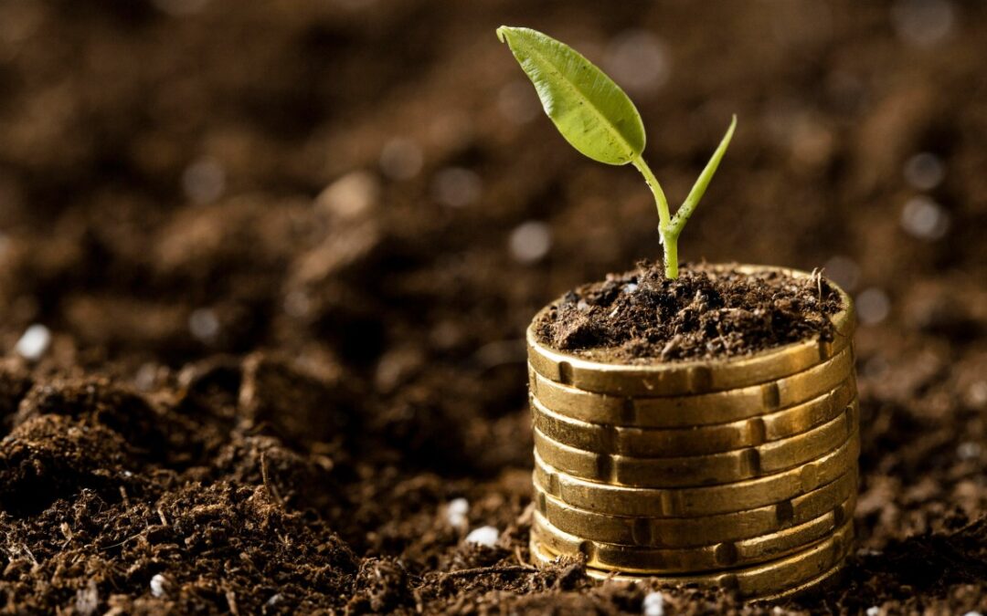 Seeding Success: Why the First Investment Shapes the Entire Case Journey.